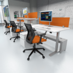 Single Sit Stand