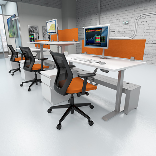 Single Sit Stand